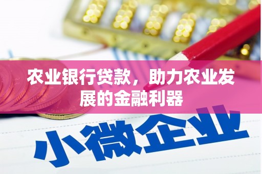 建华农业银行贷款，助力农业发展的金融利器